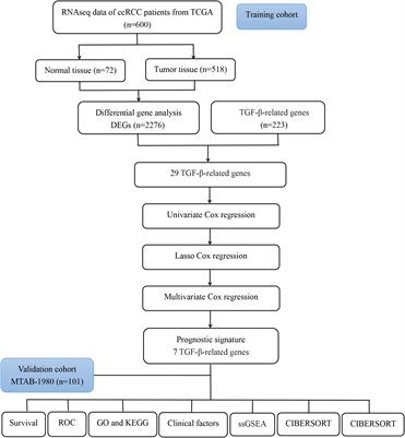 Development of a TGF-β signaling-related genes signature to predict clinical prognosis and immunotherapy responses in clear cell renal cell carcinoma